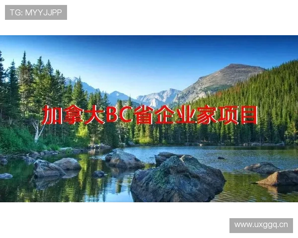 加拿大企业家移民政策解析:如何通过投资与创业实现移民梦